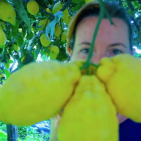 度假居 The Guardian Of