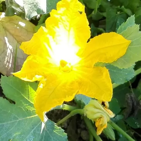 The Guardian Of 度假居 阿马尔菲